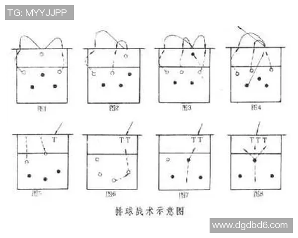广州排球队配合细节解析与战术对比全面分析