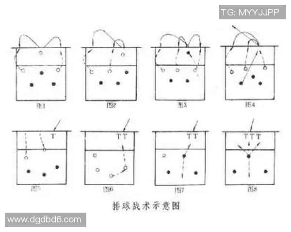 杭州排球队战术深度解析：从技术细节到团队协作的全面剖析